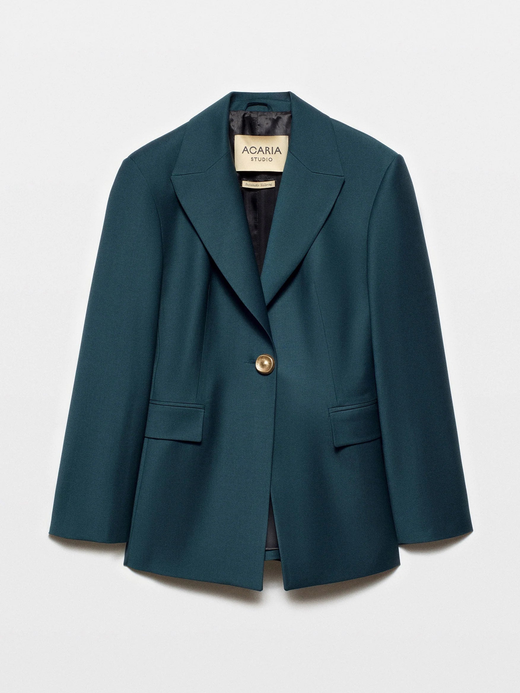 Earth Blazer