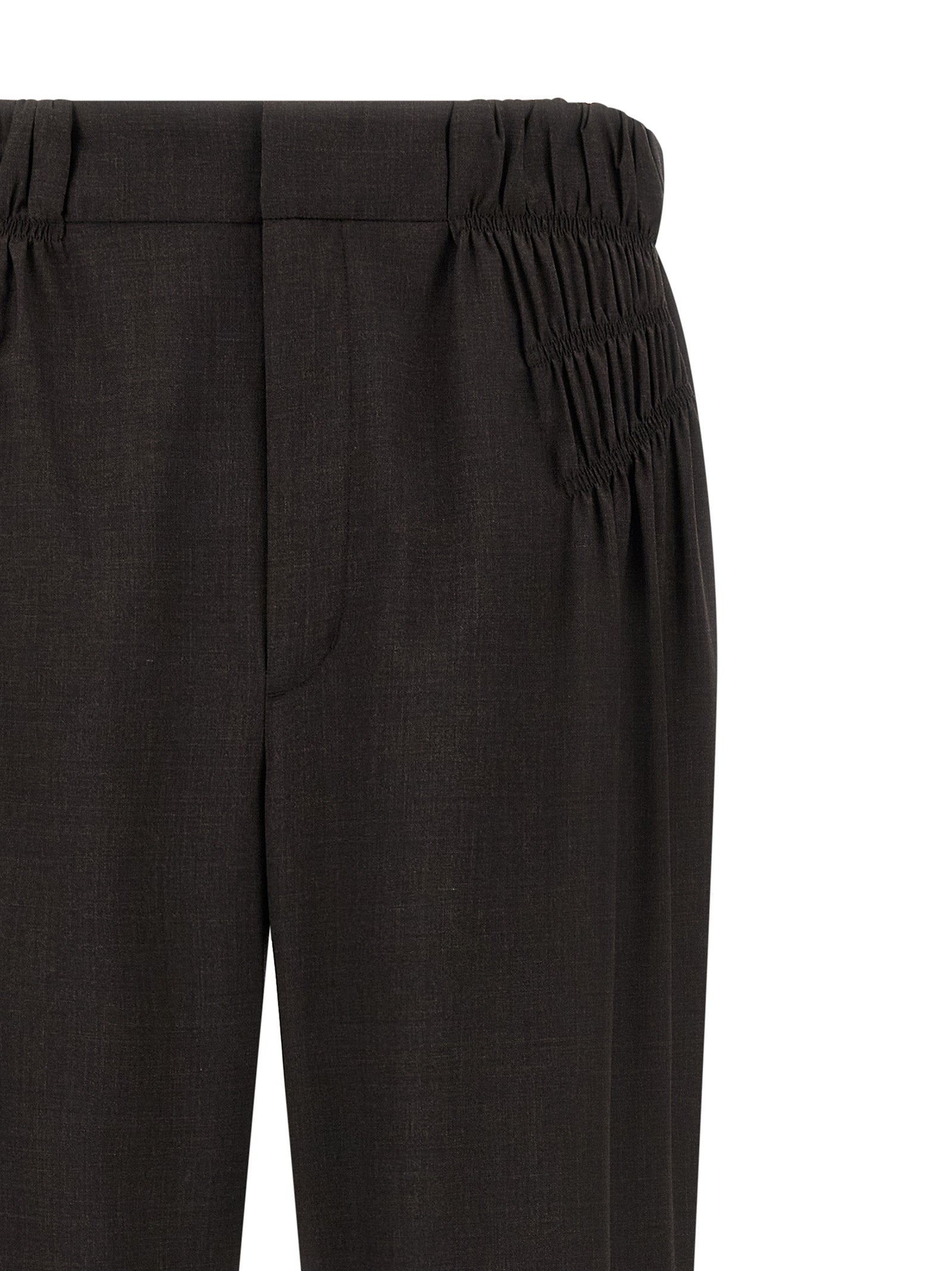 Brown Virgin Wool Casual Pants