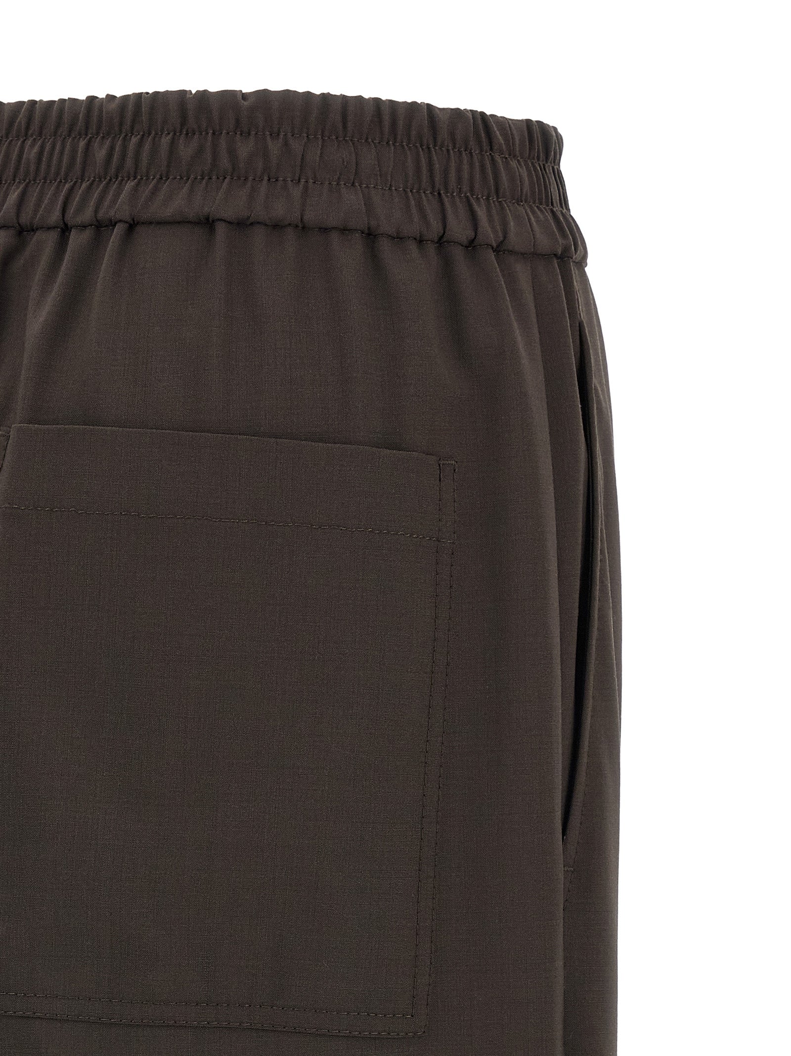 Brown Virgin Wool Casual Pants
