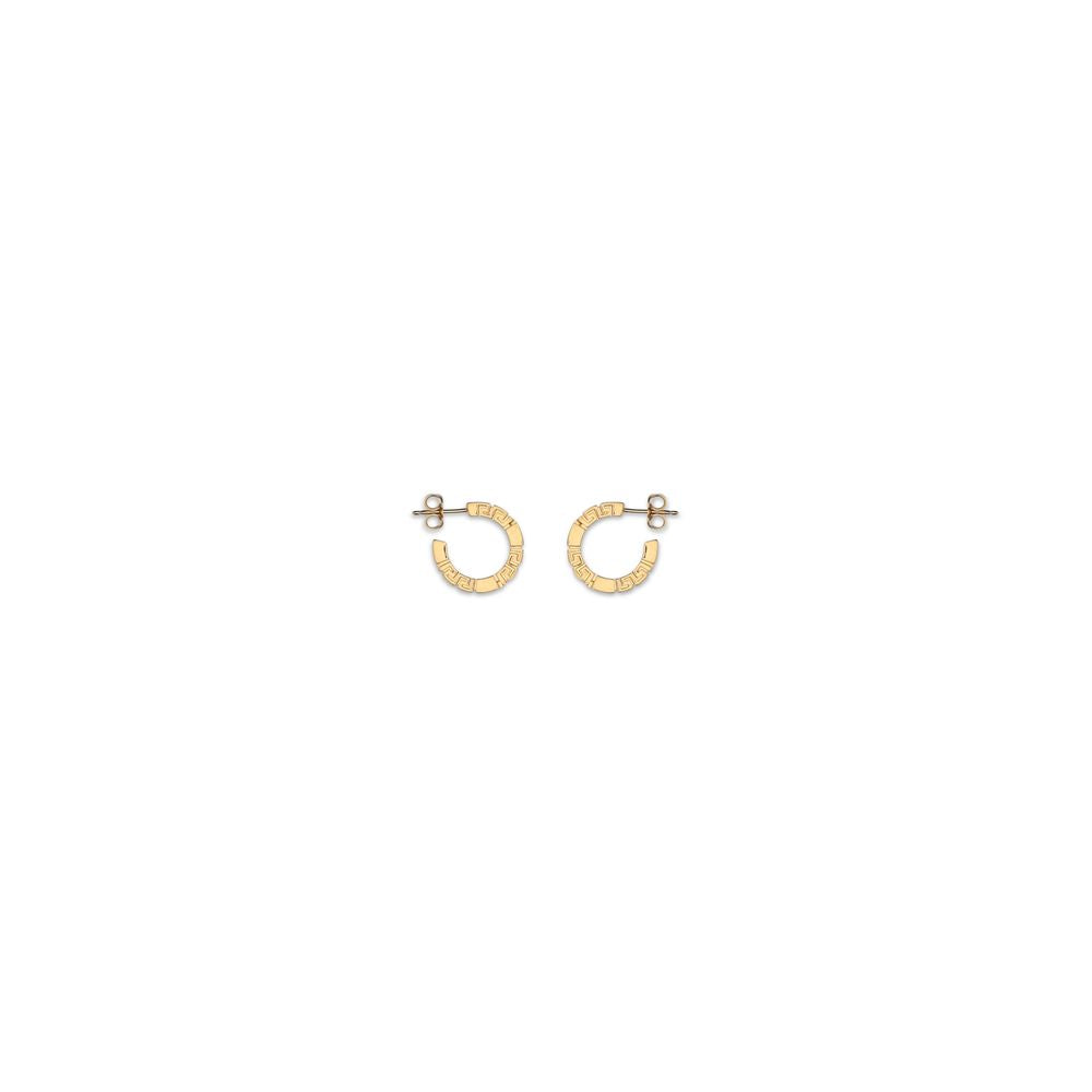 Gold Brass Earrings