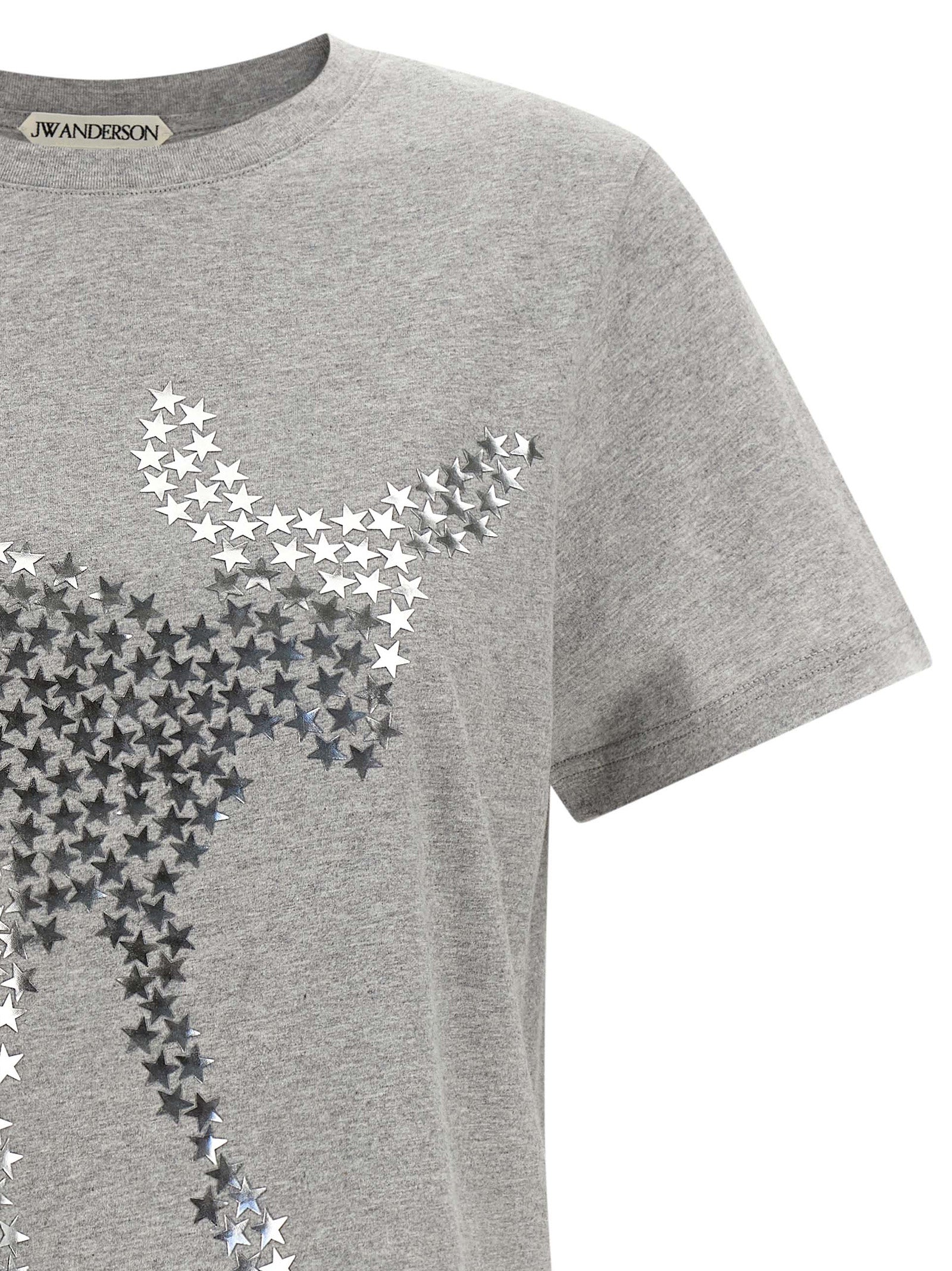 Gray Cotton T-Shirt