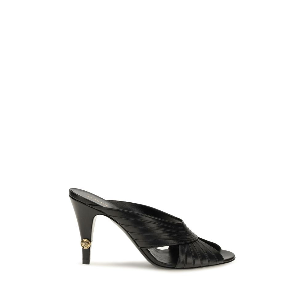 Black Lamb Ovis Aries Mules