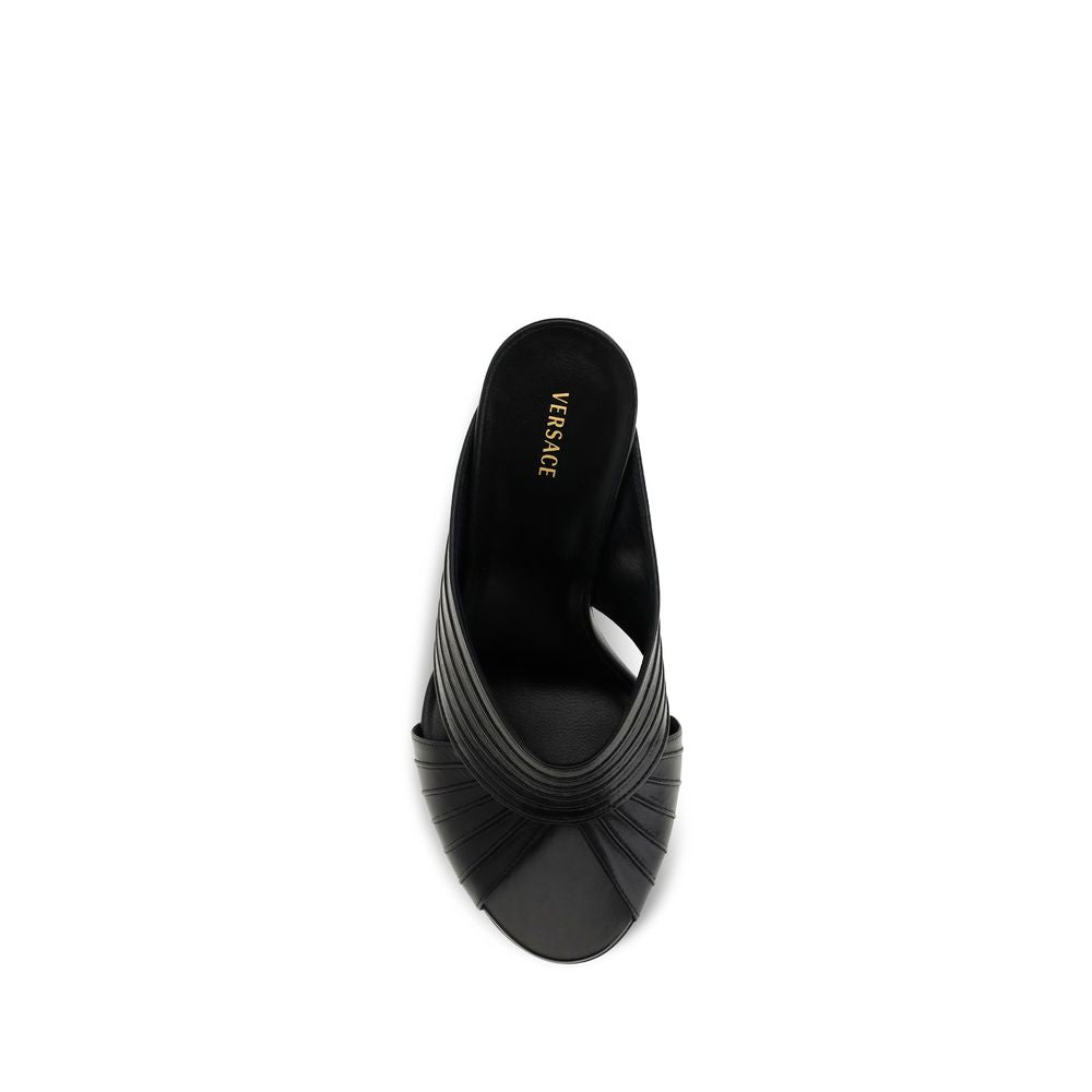 Black Lamb Ovis Aries Mules