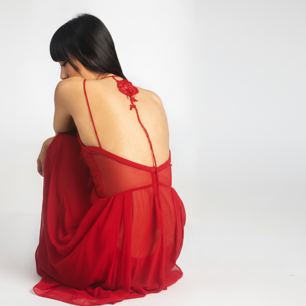 Red Rose Embroidered Maxi Dress