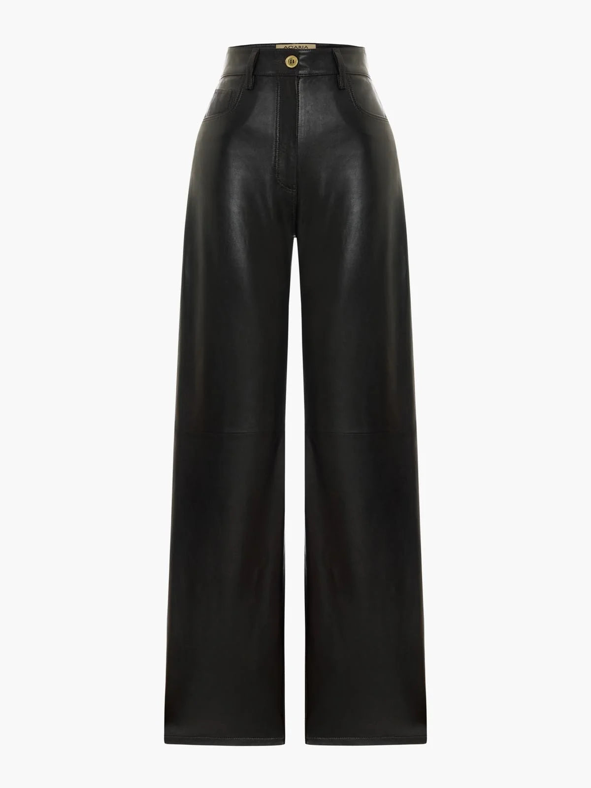 Root Leather Pants
