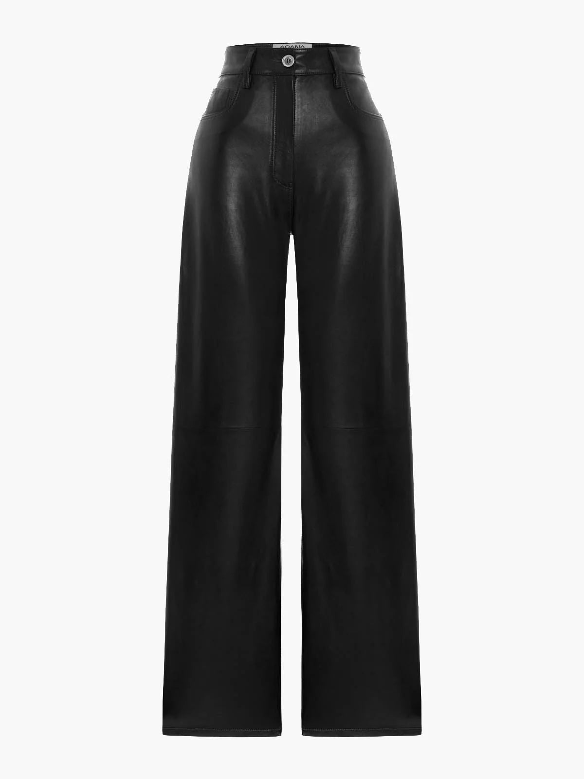 Root Leather Maxi Pants