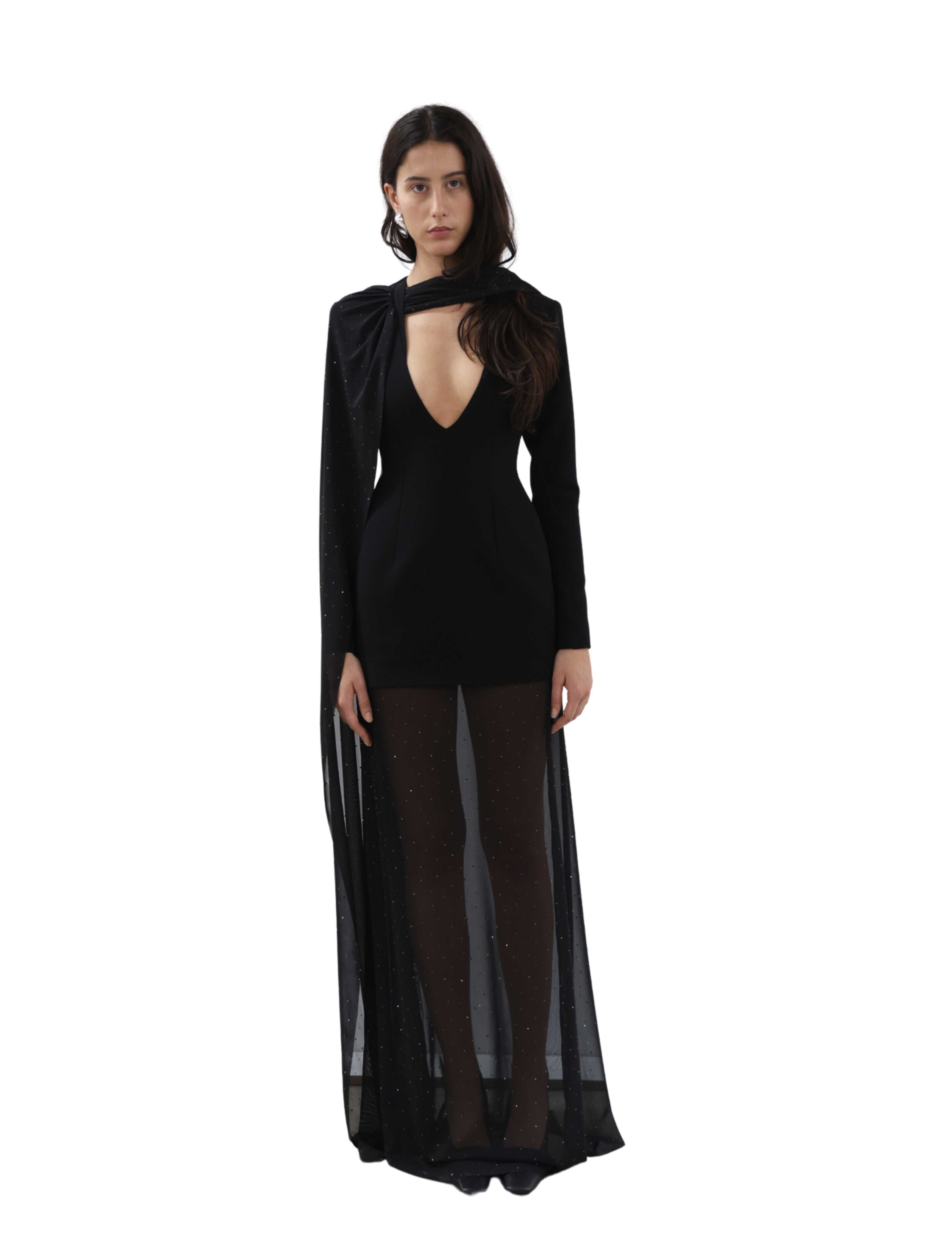 Molysa Party Long Sheer Dress