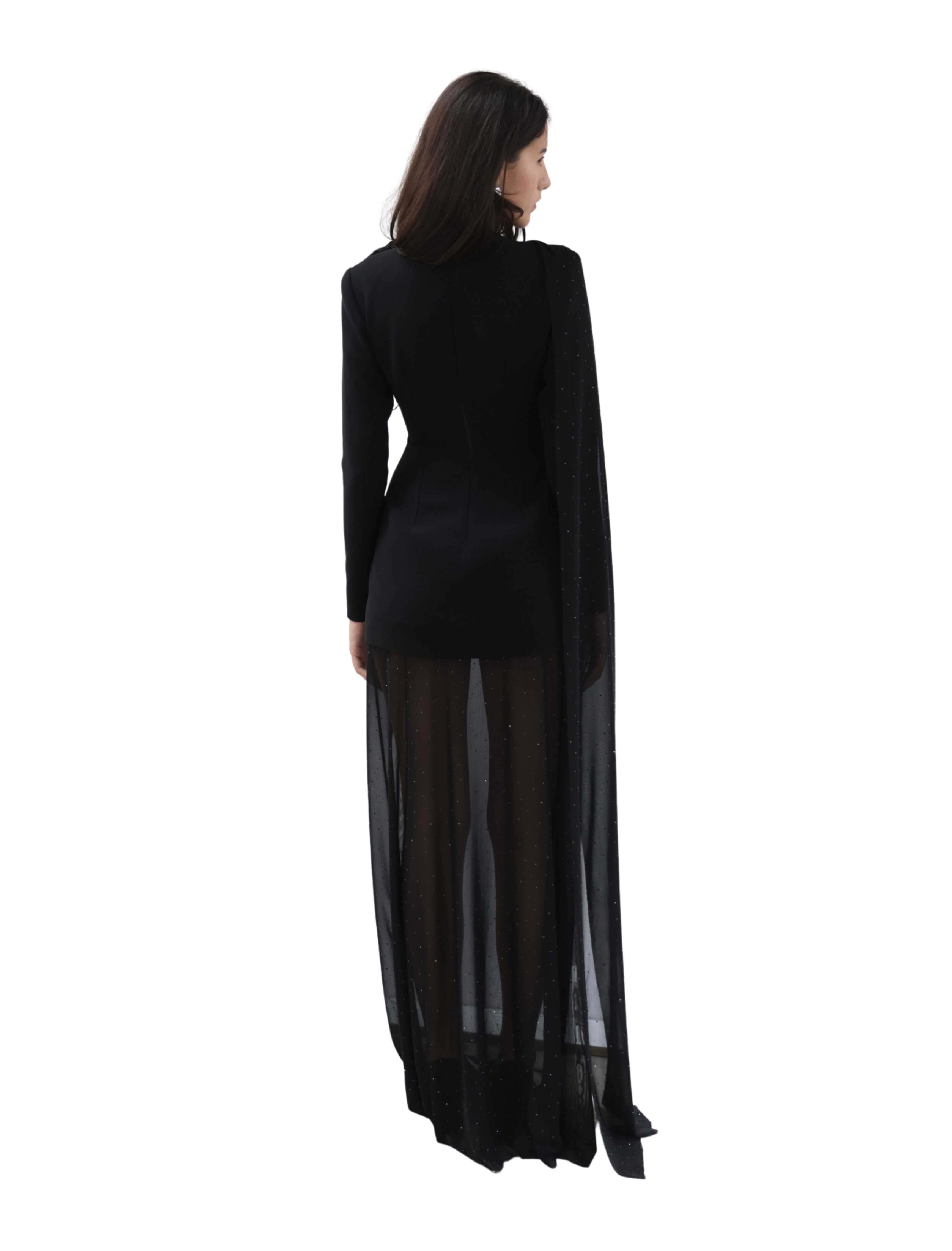 Molysa Party Long Sheer Dress