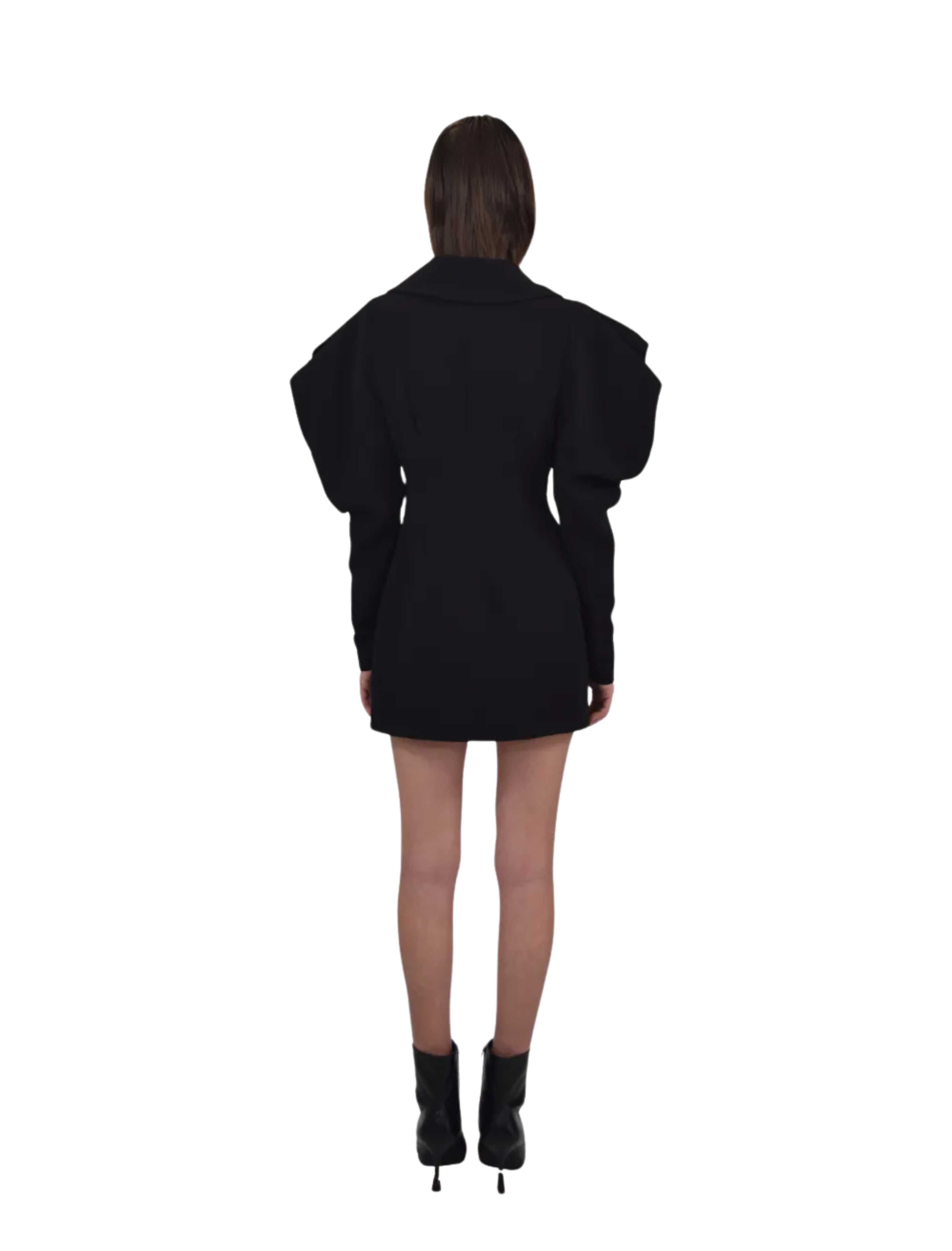 Narte Mini Dress with Puffy Sleeves