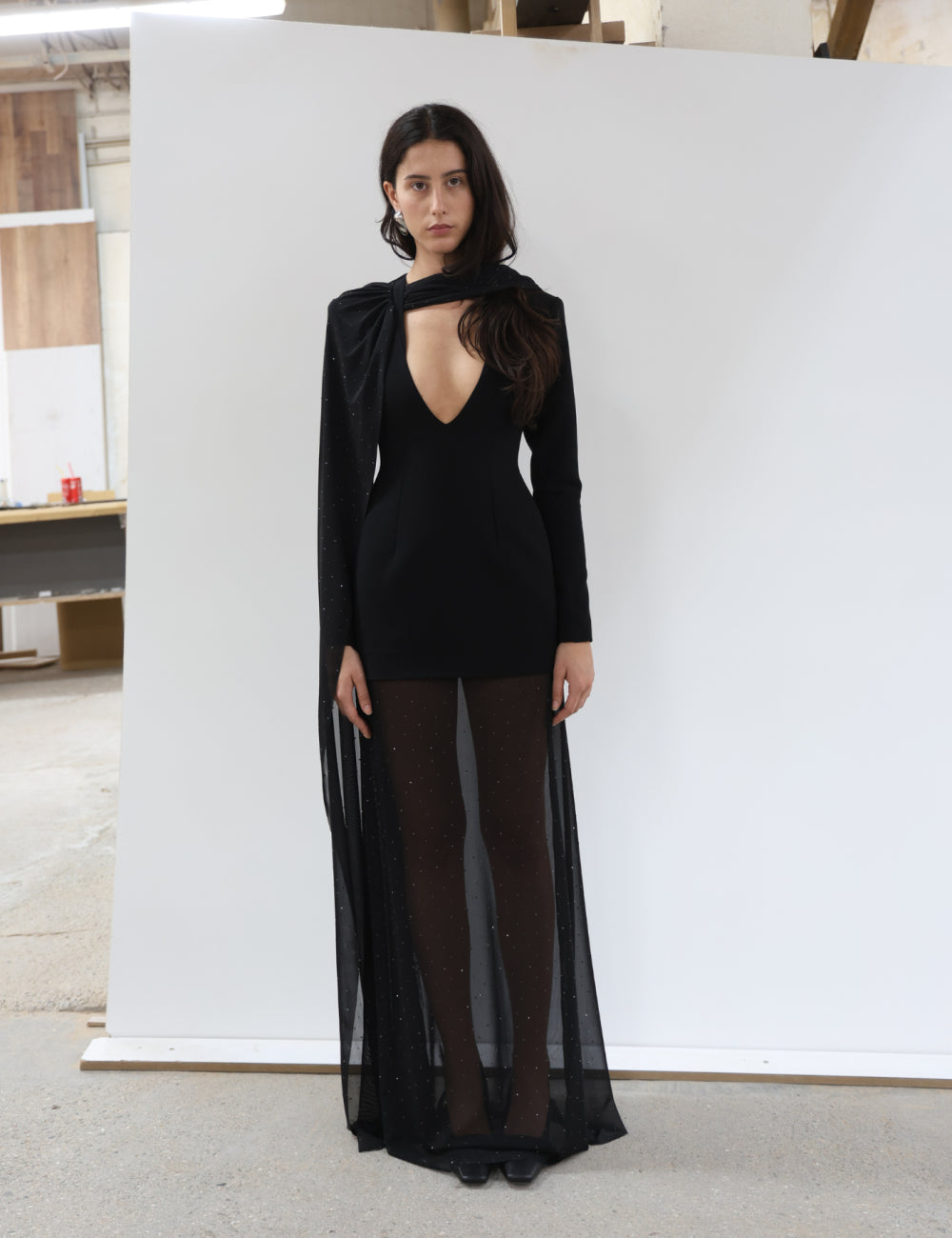 Molysa Party Long Sheer Dress
