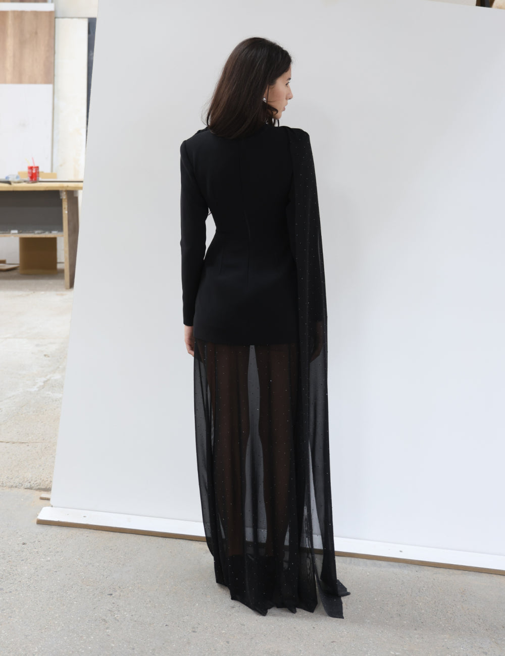 Molysa Party Long Sheer Dress