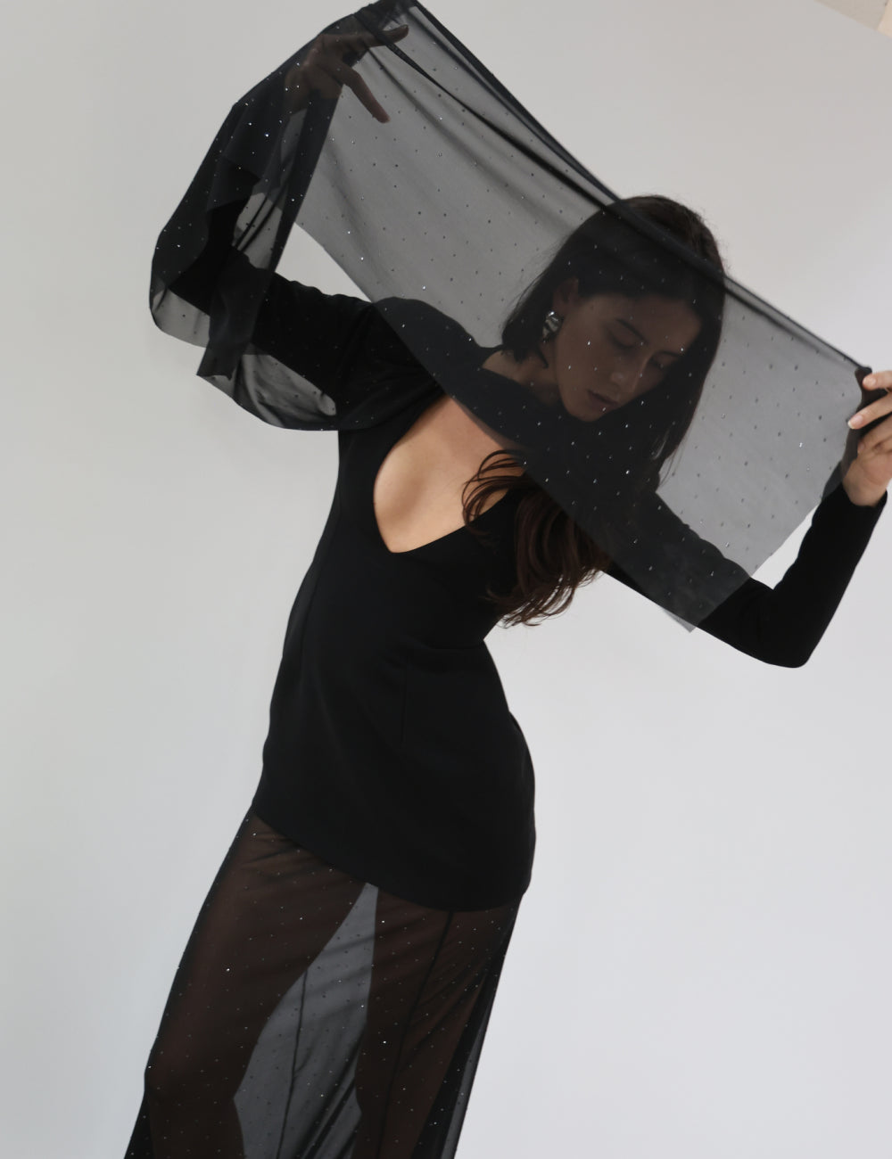 Molysa Party Long Sheer Dress