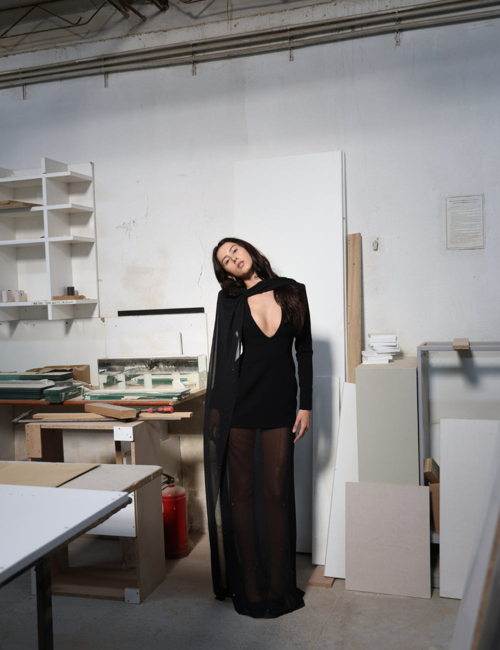 Molysa Party Long Sheer Dress
